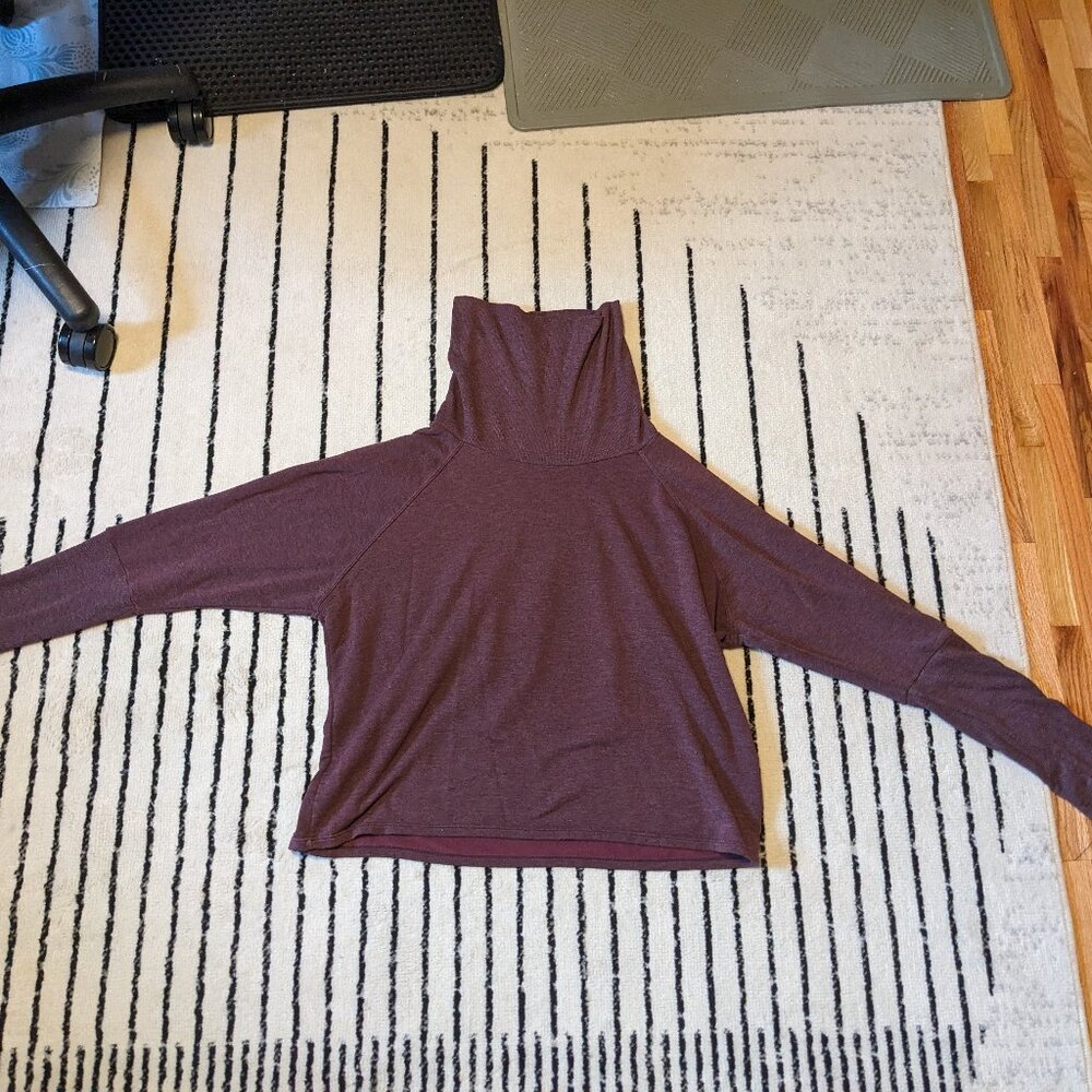 DYI Cropped-ish Turtle neck